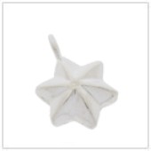 Sterling Silver Star Jewelry Charm - FS4512