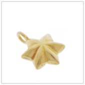 Vermeil Gold-Plated Star Jewelry Charm - FS4512-V