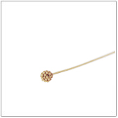 Vermeil Gold-Plated Stardust Headpin - HP4135xL-V